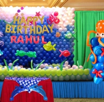 birthday Royale Entrance & Stage Decoration